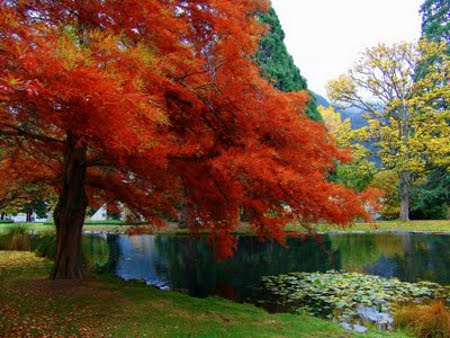 Queenstown, Otago, Nueva Zelanda 1