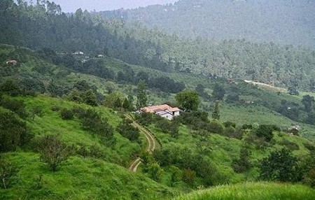 Ranikhet, Uttarakhand, India 0