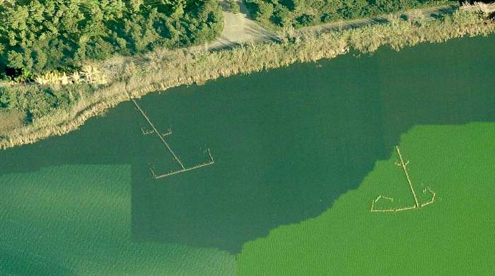 Redolins en la Albufera de Valencia 0 - Flechas con forma de corazón en el Mar Menor - Murcia