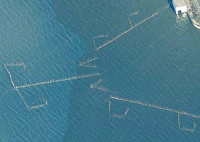 Redolins en la Albufera de Valencia 1 - Flechas con forma de corazón en el Mar Menor - Murcia 🗺️ Foro España