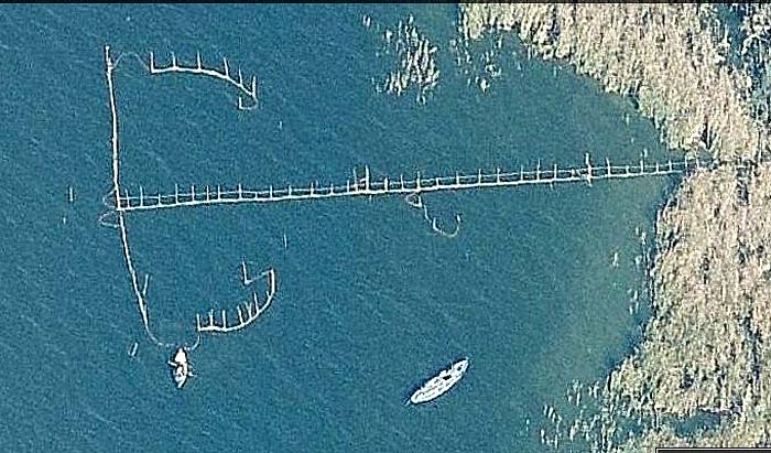 Redolins en la Albufera de Valencia 2 - Flechas con forma de corazón en el Mar Menor - Murcia