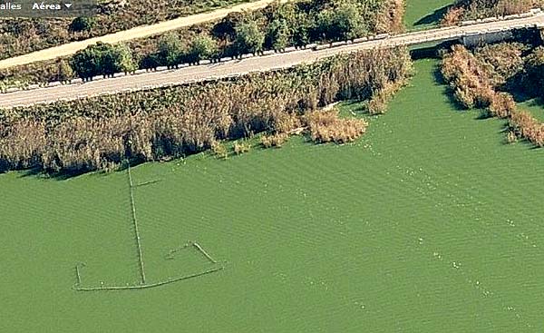 La albufera de Valencia, la Dehesa y sus itinerarios. 0