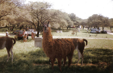 Reserva Nacional Parque Luro, La Pampa, Argentina 1