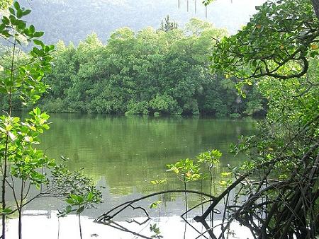 Reserva Natural de Dongzhai, Hainan, China 2