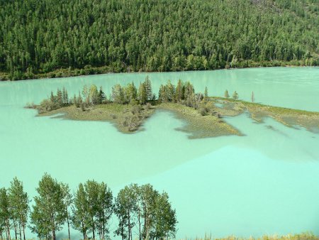 Mundo de Escarcha en Kanas de Xinjiang, China ⚠️ Ultimas opiniones 0