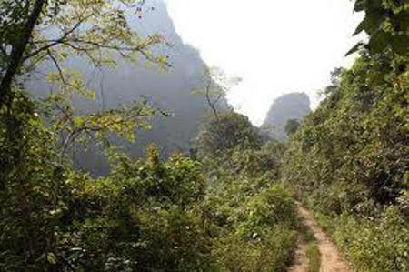 Reserva Natural Nacional de Nonggang, Guangxi, China 🗺️ Foro China, el Tíbet y Taiwán 0