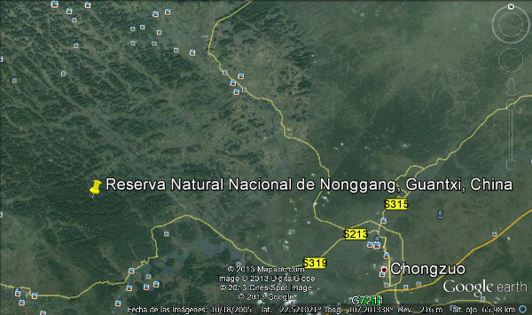 Reserva Natural Nacional de Nonggang, Guangxi, China 🗺️ Foro China, el Tíbet y Taiwán 2