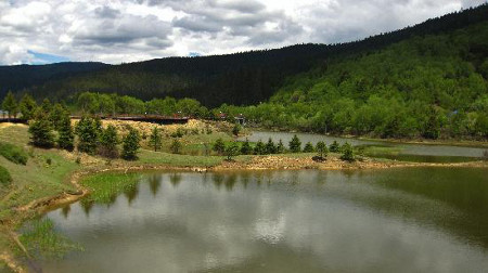 Reserva Natural Napahai, Zhongdian, Yunnan, China 0