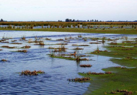 Reserva Natural Otamendi,  Buenos Aires, Argentina 1