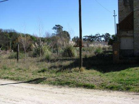 Reta, Buenos Aires, Argentina 🗺️ Foro América del Sur y Centroamérica 0