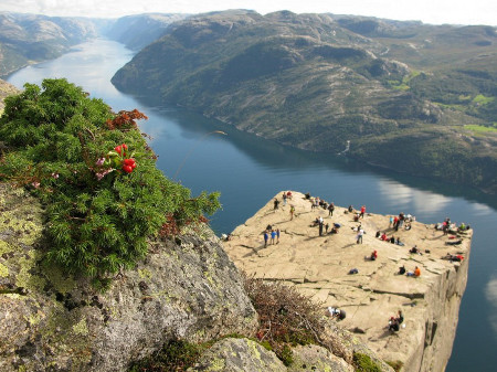 Risco Preikestolen, Forsand, Noruega 🗺️ Foro Europa 0