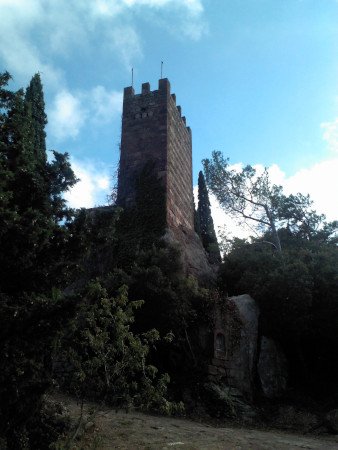 Riudecanyes, Tarragona, Catalunya 🗺️ Foro España 1