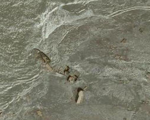 Barco hospital SS ROHILLA - Whitby 0 - PETER IREDALE naufragio en Clatsop Spit 🗺️ Foro General de Google Earth