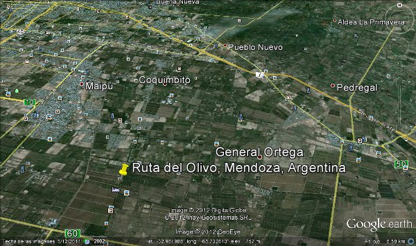 Ruta del Olivo, Mendoza, Argentina 2