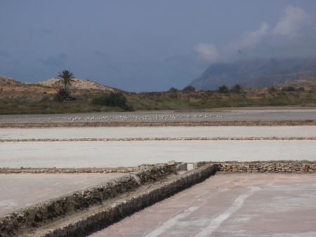 Salinas de Calblanque, Murcia 1