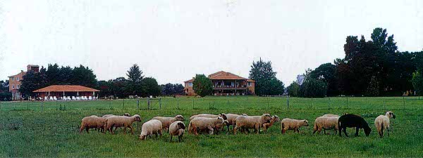 San Ceferino, Luján, Buenos Aires, Argentina 0