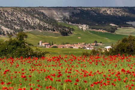 San Martín de Valvení, Valladolid, Castilla y León (Foto 4)