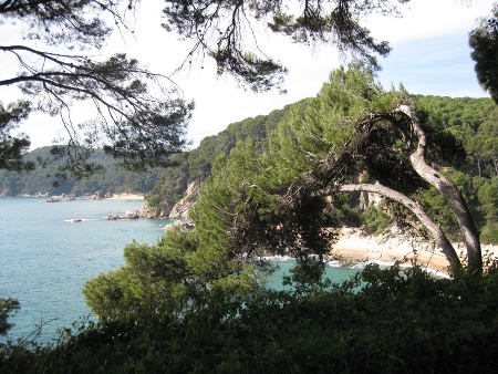 Jardines de Santa Clotilde, Girona 1