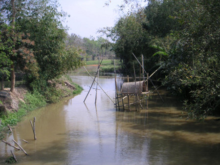 Santuario de Aves de Thattekadu, Kerala, India 1