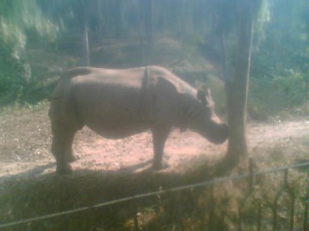 Santuario de la Naturaleza Sepahijala, Tripura, India 1