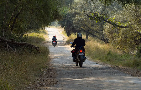 Resrva Natural de Sariska, Rajasthan, India 🗺️ Foro Asia 1