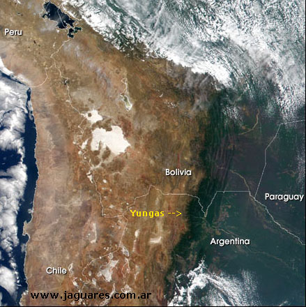 Papelera Botnia - Conflicto Uruguay y Argentina 🗺️ Foro Clima, Naturaleza, Ecologia y Medio Ambiente 2