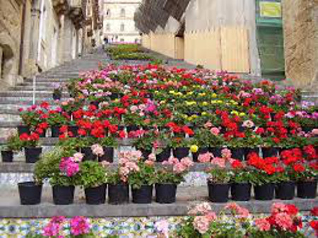 Scala S. Maria del Monte, Caltagirone, Catania, Sicilia, Ita 🗺️ Foro Europa 0