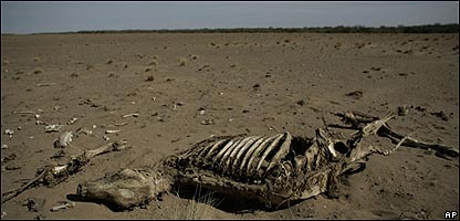 Carmen de Patagones resiste al viento, la arena y la sequia 0