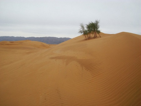 Shapotou, Ningxia, China 0