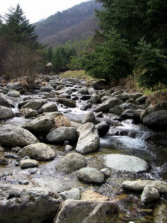 Shennongjia, Hubei, China 0