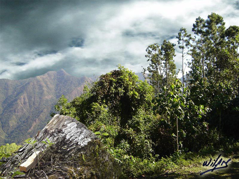 Sierra Maestra-Cuba 0