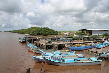 Skeldon, Guayana 0