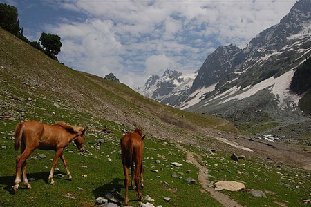 Sonamarg, Cachemira, India 0