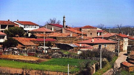 Tábara, Zamora, Castilla y León (Foto 2)