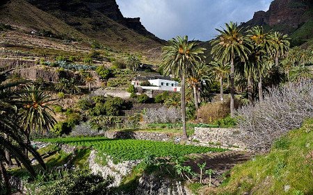 Taguluche, La Gomera, Canarias 🗺️ Foro España 0