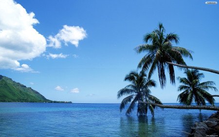 Tahaa, Îles Sous-le-Vent, Polinesia Francesa 1