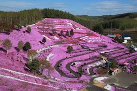 Takinoue, Hokkaidō, Japón 0