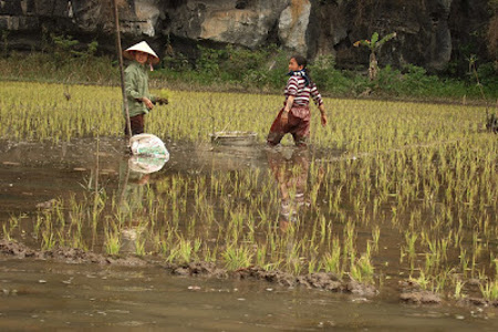 Tam Coc, Vietnam 1