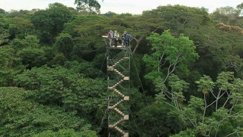 Reserva Nacional Tambopata, Perú 🗺️ Foro América del Sur y Centroamérica 0