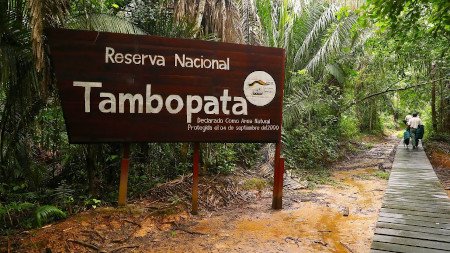 Reserva Nacional Tambopata, Perú 1