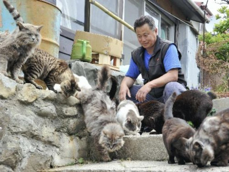 Tashirojima, Ishinomaki, Miyagi, Japón 0