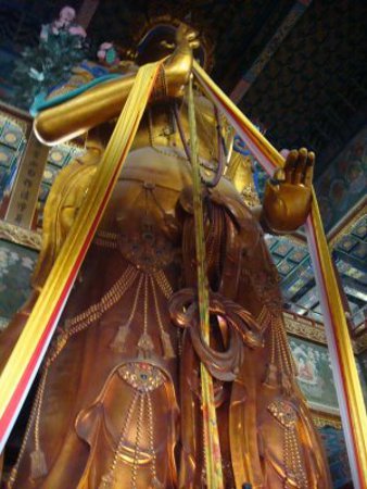 Templo de los Lamas, Beijing, China 🗺️ Foro China, el Tíbet y Taiwán 2