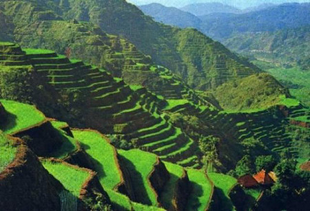 Terrazas de Arroz de Banaue, La Cordillera, Filipinas 0