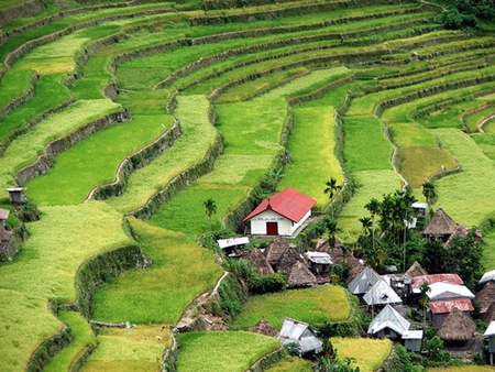 Terrazas de Arroz de Banaue, La Cordillera, Filipinas 0