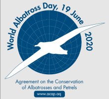 Día Mundial del Albatros