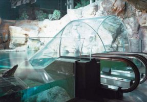 Aquarium shanghai1
