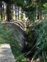 Bosque de los constituyentes, rosario, santa fe, argentina