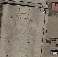 Carita de Gato