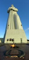 memorial defensores