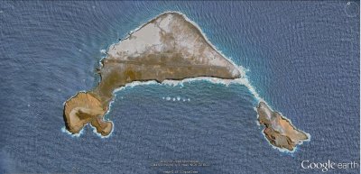 isla con aeropuerto y patas azules